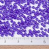 MIYUKI Round Rocailles Beads X-SEED-G007-RR0176-4