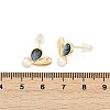 Teardrop Brass Abalone Shell Stud Earrings KK-D301-15G-3