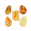 Natural Amber Pendants G-H063-01-1