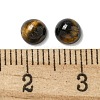 Natural Tiger Eye Cabochons G-Q173-01B-13-3