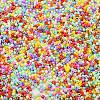 Baking Paint Glass Seed Beads SEED-S042-05B-50-3