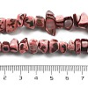 Dyed Natural Trochus Shell Beads Strands BSHE-Z006-01D-4