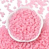 Transparent Colours Glass Seed Beads SEED-R001-01N-3