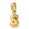 316L Surgical Stainless Steel Charms STAS-G315-01G-S-1