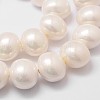 Shell Pearl Bead Strands BSHE-L028-01-16x18-3