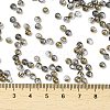 Glass Seed Beads SEED-H002-B-D218-4