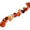 Natural Carnelian Beads Strands G-O050-05-3