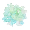 Transparent Acrylic Beads OACR-H039-04G-1