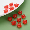 Transparent Acrylic Beads MACR-S373-26E-04-6