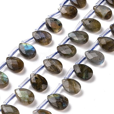 Natural Labradorite Beads Strands G-I246-09-A-1