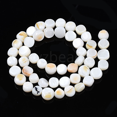 Natural Trochid Shell/Trochus Shell Beads Strands SHEL-S258-083-A01-1