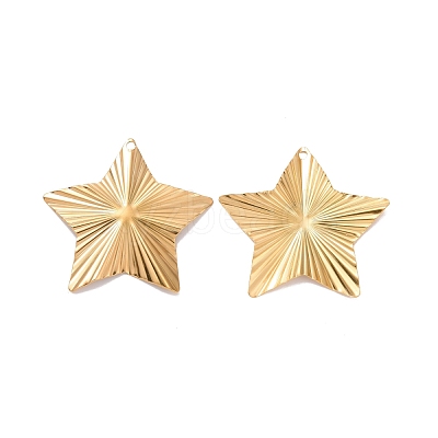 304 Stainless Steel Pendants STAS-A061-06G-1