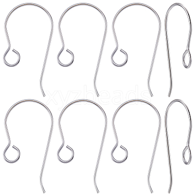 20Pcs Titanium Earring Hooks FIND-BBC0005-23-1