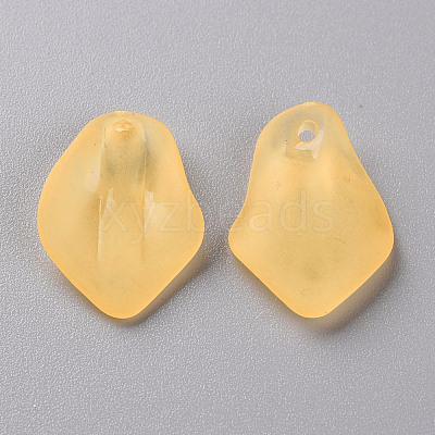Transparent Frosted Acrylic Pendants MACR-S371-03A-719-1