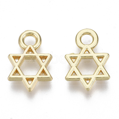 Alloy Charms PALLOY-S132-084-1