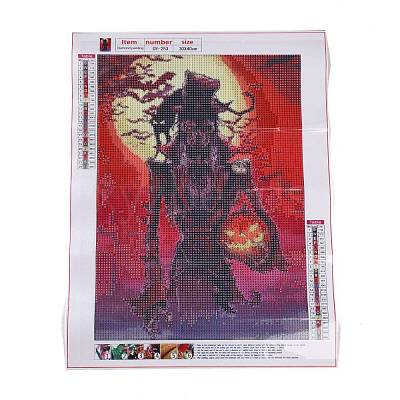 DIY 5D Diamond Painting Kits DIY-P060-09-1