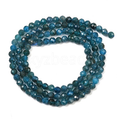 Natural Apatite Beads Strands G-E411-36-3mm-02-1