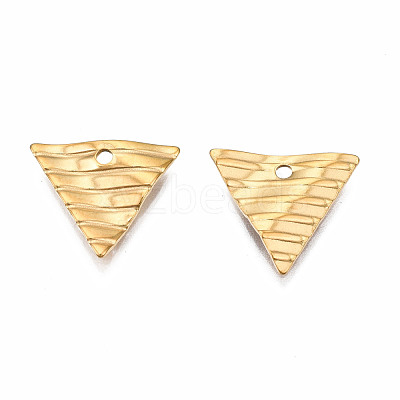 304 Stainless Steel Charms STAS-S080-056G-NR-1