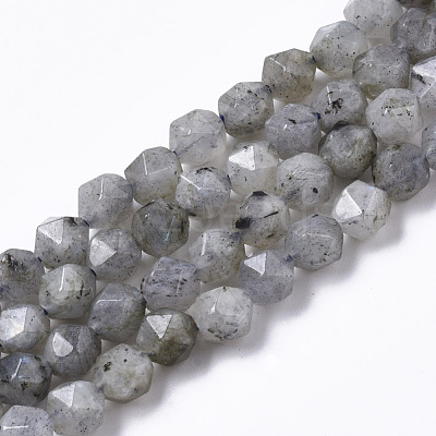 Natural Labradorite Beads Strands G-R465-33A-1