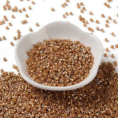 Baking Paint Glass Seed Beads X-SEED-S042-15A-13-1