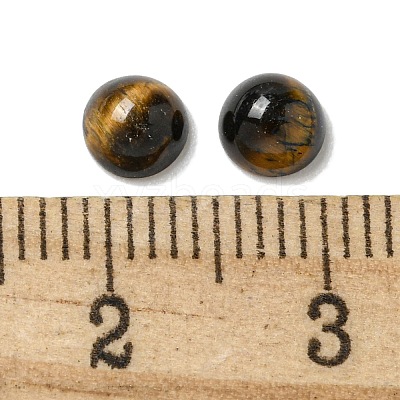 Natural Tiger Eye Cabochons G-Q173-01B-13-1