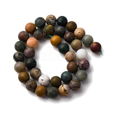 Natural Ocean Agate/Ocean Jasper Beads Strands G-G772-06-B-1