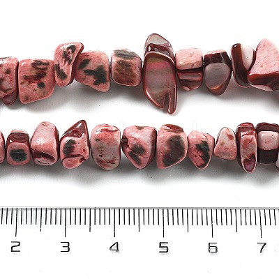 Dyed Natural Trochus Shell Beads Strands BSHE-Z006-01D-1