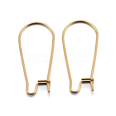 304 Stainless Steel Hoop Earring Findings STAS-P223-01G-04-1