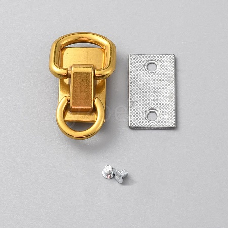 Alloy Double D-ring Suspension Clasps for Bag Strap FIND-WH0111-347-1