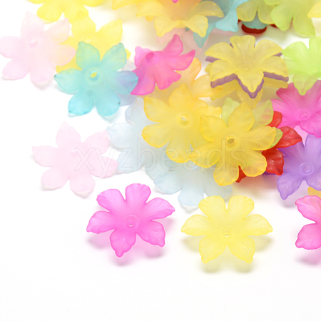 Transparent Acrylic Beads FACR-S005-M-1