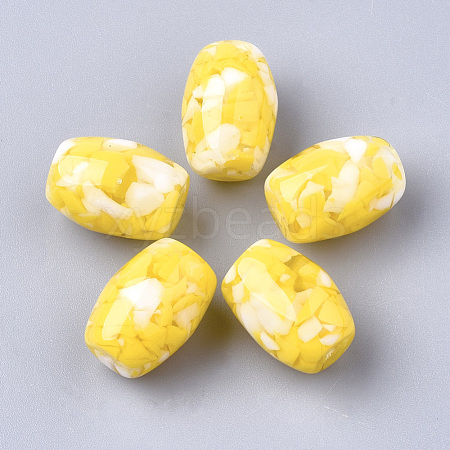 Resin Beads RESI-T024-26H-1