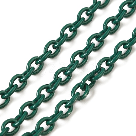 Spray Painted 304 Stainless Steel Cable Chains STAS-B067-06A-02-1