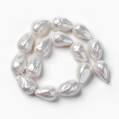 Shell Pearl Beads Strands BSHE-F013-13-1