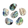 Natural Paua Shell Pendants SHEL-T020-12-1