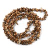 Natural Picture Jasper Beads Strands G-G0003-B16-3