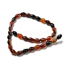 Natural Agate Beads Strands G-A223-C10-01-3