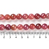 Natural Agate Beads Strands G-M437-C01-01L-5