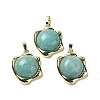 Natural Amazonite Pendants G-G069-01G-04-1