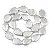 Shell Pearl Beads Strands X-SSHEL-R046-06B-2