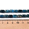 Natural Apatite Beads Strands G-G980-51A-5