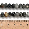 Natural Eagle Eye Stone Beads Strands G-Z111-A11-02-6