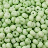 Baking Paint Glass Seed Beads SEED-C003-02D-3