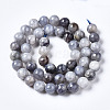Natural Iolite Beads Strands G-N328-50B-01-2