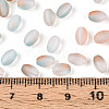 Frosted Glass Seed Beads SEED-N008-05H-4