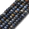 Natural Dumortierite Beads Strands G-A280-A11-01-2