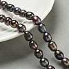 Natural Cultured Freshwater Pearl Rice Beads Strands PEAR-XCP0001-06-2