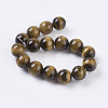 Tiger Eye Beads Strands X-G-C076-12mm-1B-2