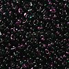 Spray Painted Glass Seed Beads SEED-F005-10A-03-3