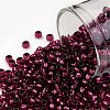 TOHO 8/0 Round Beads SEED-XTR08-2226-1