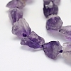 Rough Raw Natural Amethyst Beads Strands G-K202-23-3